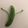 クックQULPYE☆'s cooksnap of when they made スナップエンドウのスジの剥き方.