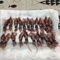 おはなすき's cooksnap of when they made 美味しいホタルイカのための大切な下処理.