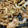 クックGV7K3E☆'s cooksnap of when they made 簡単美味しい！タモリ風しょうが焼き.