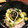 R♡Kママ's cooksnap of when they made カフェ気分♪アボカドとしらすの簡単丼.