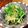 ちゃちゃまる26's cooksnap of when they made 大根と水菜のハリハリサラダ♪柚子胡椒風味.