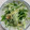 どっこ♪'s cooksnap of when they made 低糖質レシピ　水菜とえのきの簡単和え.