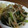 motosuke07's cooksnap of when they made もやしと小松菜の炒めもの.