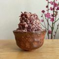 poca2929's cooksnap of when they made 自家製☆小豆味噌.