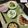 ぐりtoぐら's cooksnap of when they made ぶりの照り焼き.