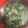 クックBLTENE☆'s cooksnap of when they made 出汁不要！栄養たっぷり海苔みそ汁♪.