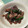 クックL1KAH7☆'s cooksnap of when they made 豚肉と菜の花としめじのバター醤油.