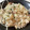 しげその's cooksnap of when they made お箸が止まらない焼き鯖混ぜ寿司♡.