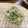 しゅうう's cooksnap of when they made 簡単♫せりが香る絶品☆白和え.