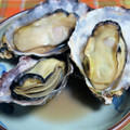 いりあんCooker's cooksnap of when they made ＊絶品！殻付き牡蠣の酒蒸しレモンがけ＊.