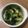 misono117's cooksnap of when they made 春キャベツ＆ほうれん草のたまごスープ.
