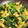 そらXAL3TM☆'s cooksnap of when they made 簡単！小松菜と卵の炒め物.