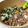 しょーばお's cooksnap of when they made こどもも食べれる野菜たっぷりビビンバ.