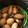tomome's cooksnap of when they made 鶏手羽先と大豆の煮物.