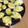 Sac’HiNa's cooksnap of when they made さつまいものチーズマヨ焼き【JA福岡市】.