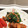 たかはしきっちん's cooksnap of when they made ほうれん草と彩り野菜のニンニク風味炒め.
