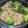 586tomo's cooksnap of when they made ブロッコリーと豚肉のオイスターソース炒め.