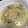 umizora's cooksnap of when they made 簡単＊白菜とあさりのトロッとクリーム煮.