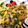 モココ★三児の母's cooksnap of when they made 豆苗と豚こま炒め.