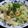 るる子's cooksnap of when they made *＊さっぱすっぱキャベツ＊*.