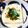 フリージア♬'s cooksnap of when they made 簡単おつまみ！お豆腐、豆乳に投入！！.