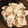 アクィ♡'s cooksnap of when they made 【男の手料理】5分で豚ロースしょうが焼き.