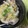 ぐりtoぐら's cooksnap of when they made お二人さんの白菜とひき肉のあんかけ！.