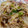 あきつま（杏花☆）'s cooksnap of when they made えのきと玉ねぎの甘辛炒め.