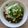 クック41OUTP☆'s cooksnap of when they made 納豆＋目玉焼き☆丼☆.