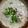 にくすけ's cooksnap of when they made 鶏ガラ素 塩ラーメン 簡単 スープ.
