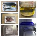 ★Arthur★'s cooksnap of when they made 簡単！自家製☆アンチョビ.