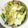 クックGB6431☆'s cooksnap of when they made ブロッコリーの味噌マヨチーズ焼き.