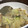 eruchee's cooksnap of when they made 冷凍アサリで簡単！白菜とアサリの煮物♪.