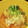 ブランシュkuu's cooksnap of when they made 簡単~柔らか厚揚げときのこのおろし煮.