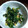 だまゆそ's cooksnap of when they made ほうれん草と卵の炒め合わせ.
