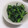 きらり流れ星's cooksnap of when they made 菜の花のからし和え.