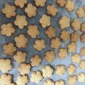 ぽちねこ。's cooksnap of when they made サクうま☆簡単塩バタークッキー.