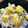 クック498XI3☆'s cooksnap of when they made 栗だらけの栗ごはん.