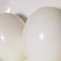 時短だいすき's cooksnap of when they made つるんと☆半熟ゆでたまご.