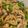 Saka_Shin's cooksnap of when they made 豚肉ピーマン玉葱のゴマだれ焼き♪.