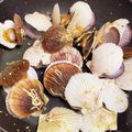 kazuuojp's cooksnap of when they made ホタテ稚貝の酒蒸し/30秒クッキング！.