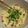 ぷりぷりめこたん's cooksnap of when they made レンジでチンだけ簡単カルボナーラうどん.