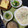 ぐりtoぐら's cooksnap of when they made ちぢみ小松菜、大根、薩摩揚げの煮物♪.