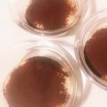 tami5555's cooksnap of when they made 生クリーム不要！イタリア本格ティラミス！.