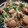 みこひろママ's cooksnap of when they made 簡単☆ホタテともやしのバター炒め.