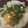 yumeクック's cooksnap of when they made 小ねぎ(万能ネギ)の保存法と使い方。.