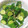 クック083103☆'s cooksnap of when they made 簡単きゅうりの浅漬け.