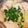 ☆ドキンちゃん☆”'s cooksnap of when they made ワンタンの皮と白菜のスープ.