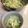 匡史さん's cooksnap of when they made 春キャベツで✤アボカドチキンコールスロー.