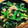 まいぴょん0808's cooksnap of when they made ほうれん草とツナの胡麻和え.